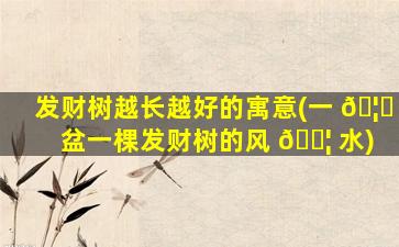 发财树越长越好的寓意(一 🦍 盆一棵发财树的风 🐦 水)